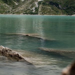 Meet your Posher, Tara